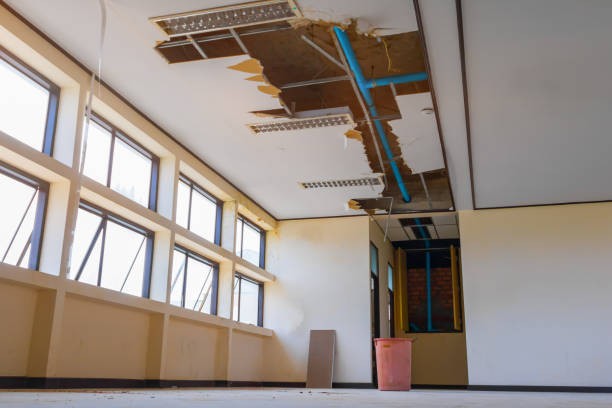 Best Water damage restoration process  in High Point, FL
