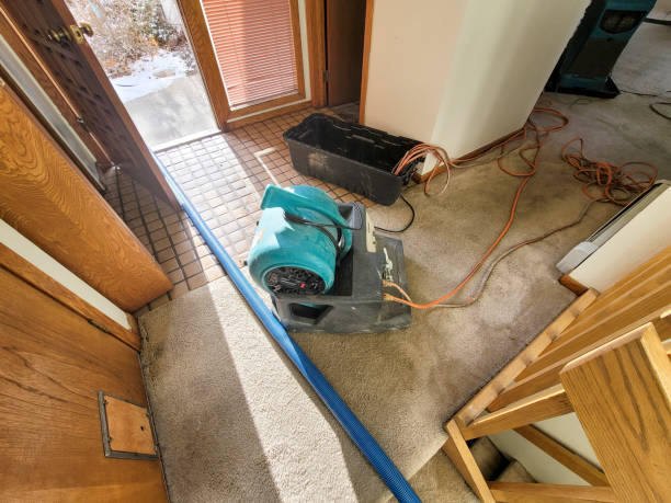 Best Professional water damage repair  in High Point, FL