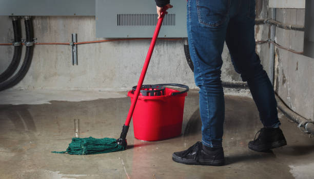 Carpet water damage restoration in High Point, FL