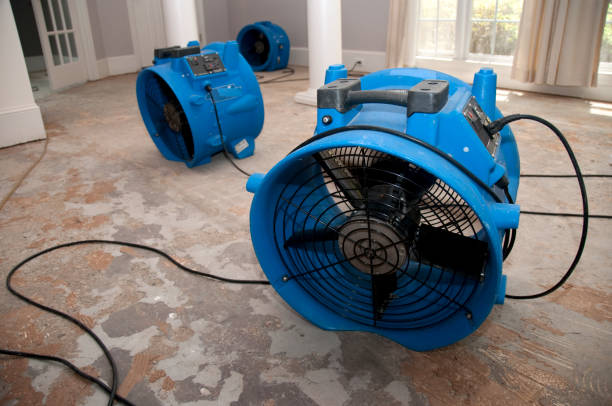Best Water damage restoration near me  in High Point, FL