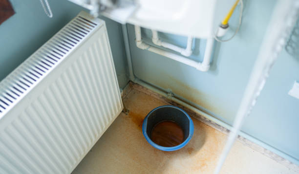 Best Sewage cleanup and water damage restoration  in High Point, FL