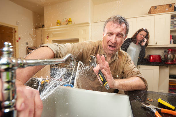 Best Water damage contractors near me  in High Point, FL